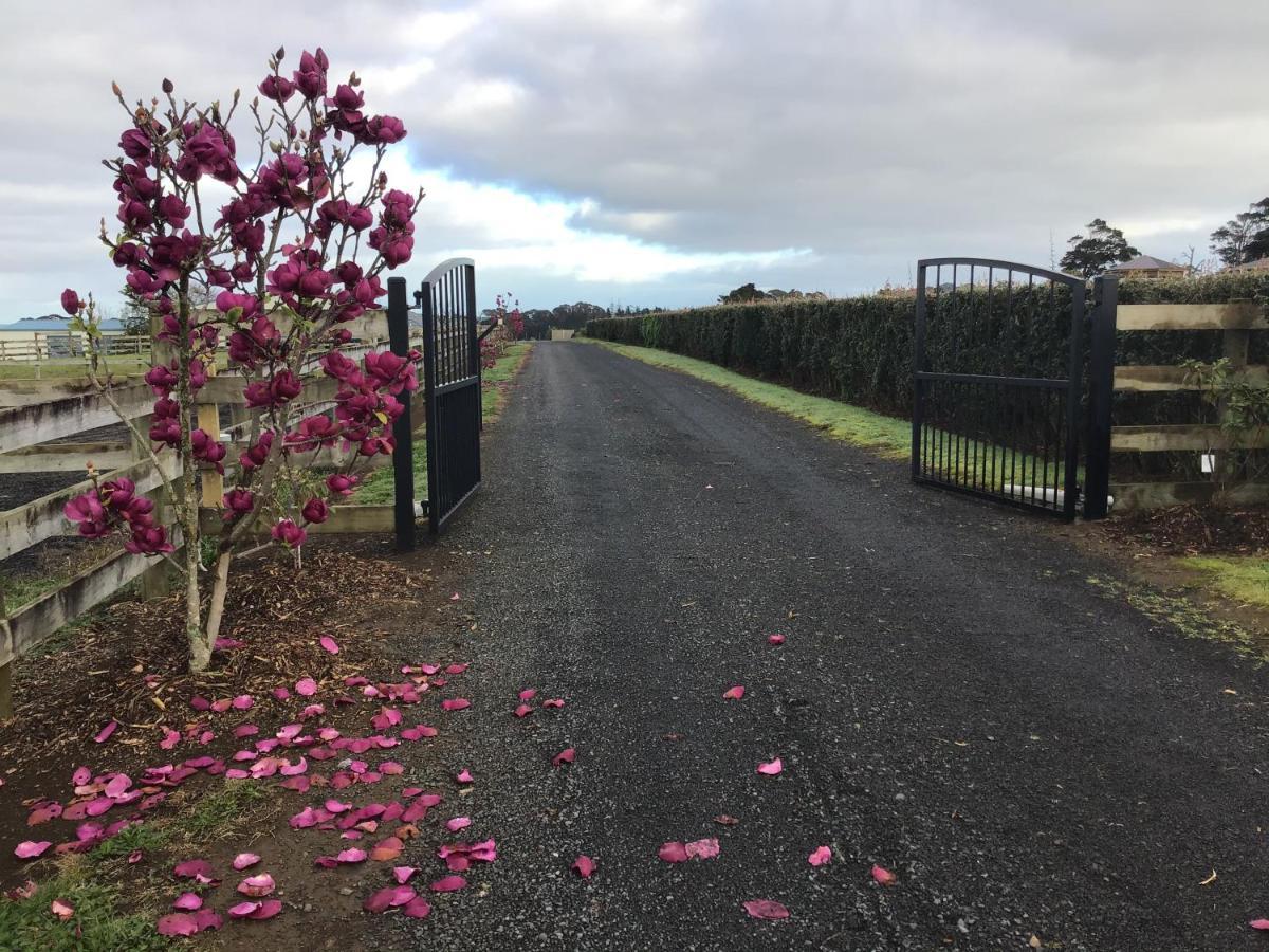 Self Contained Cottage Pukekohe 奥克兰 外观 照片